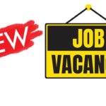 New Roles in Learning & Development: What Modern Organisations Must Prepare For