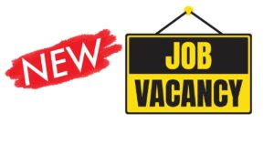 New job